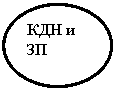 Овал: КДН и ЗП