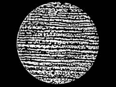 C:\Documents and Settings\Admin.MICROSOF-E56509\Рабочий стол\МУСОР\100OLYMP\P.JPG
