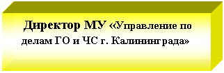 Подпись: Директор МУ «Управление по делам ГО и ЧС г. Калининграда»