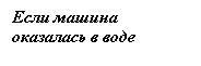 �������: