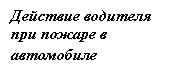 �������: