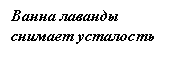 �������: