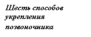 �������: