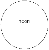 Блок-схема: узел: ТФОП