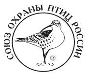 C:\Documents and Settings\Admin\Рабочий стол\для Марины\image.jpg