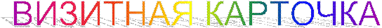 ВИЗИТНАЯ КАРТОЧКА