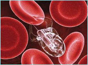 C:\Documents and Settings\Мышь-малыш\Рабочий стол\нанотехнологии в медицине\__bloodcells.jpg