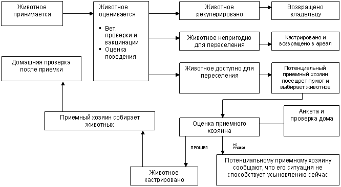 Основные принципы проектирования и управления приютами для животных по версии RSPCA * Правовая зоозащита