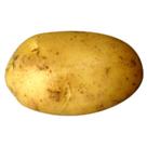 Картинка 9 из 128600