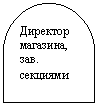 Блок-схема: задержка: Директор магазина, зав. секциями