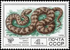 Гюрза