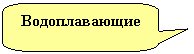 Скругленная прямоугольная выноска: Водоплавающие