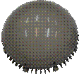 Описание: EGI_1.png
