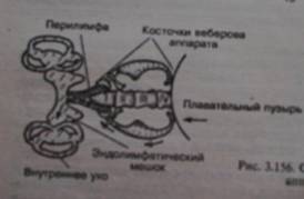 F:\ооооо\PICT3224.JPG