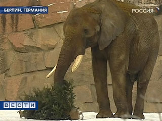 C:\Users\ЛЕНА\Desktop\b_303519.jpg
