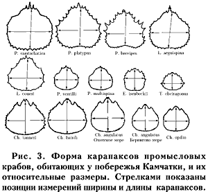 Рис. 3