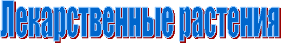 Лекарственные растения