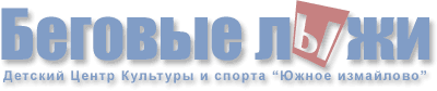 Описание: Беговые лыжи