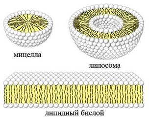 C:\Users\Игорь\Desktop\image031.jpg