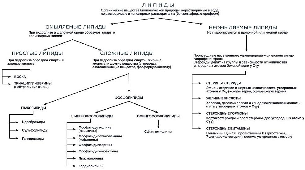 http://*****/images/stroenie-obmen-lipidov/S09-01-klassifikacija-lipidov.jpg