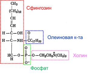 C:\Users\Игорь\Desktop\Рисунок4.png