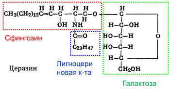 C:\Users\Игорь\Desktop\Рисунок5.png