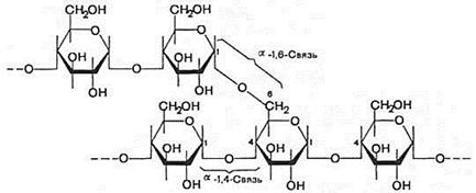 http://*****/biologhim/bio/img428.jpg