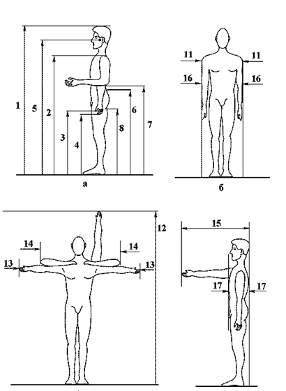 Описание: http://*****/images/ergonomika/ssy1.gif