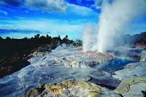 Описание: Geysers at Whakarewarewa