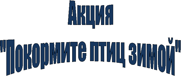 Акция
"Покормите птиц зимой"
