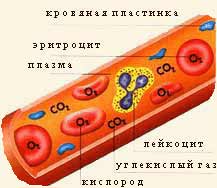 C:\Documents and Settings\User\Рабочий стол\f_k2-1.jpg