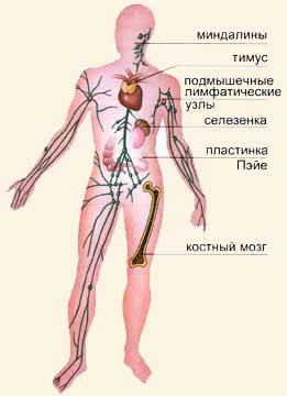 C:\Documents and Settings\User\Рабочий стол\f_k2-7.jpg