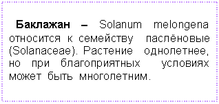 Подпись: Баклажан – Solanum melongena относится к семейству паслёновые (Solanaceae). Растение однолетнее, но при благоприятных условиях может быть многолетним.