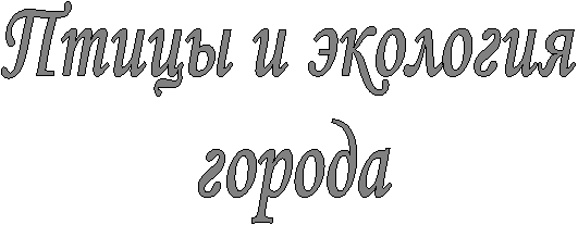 Птицы