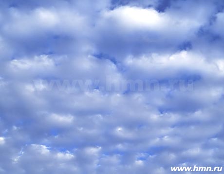 Высоко - кучевые хлопьевидные - Altocumulus floccus (Ac fl)