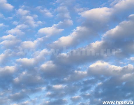 Высоко - кучевые хлопьевидные - Altocumulus floccus (Ac fl)