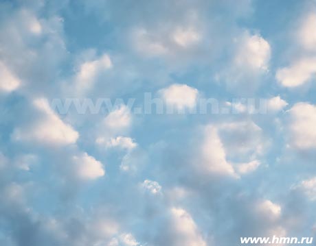 Высоко - кучевые хлопьевидные - Altocumulus floccus (Ac fl)