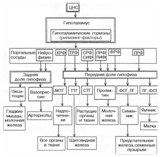 Описание: Описание: Описание: Описание: Описание: Описание: http://*****/biologhim/bio/img584.jpg