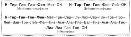 Описание: Описание: Описание: Описание: Описание: Описание: Описание: Описание: Описание: Описание: http://*****/biologhim/bio/img596.jpg