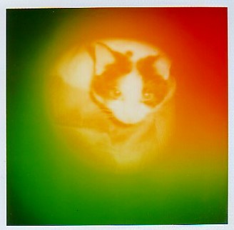 Aura Imaging