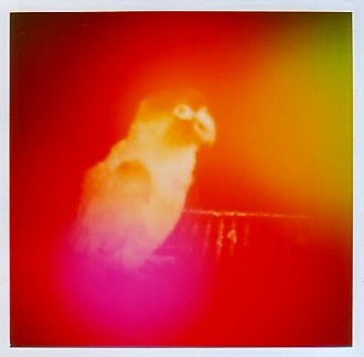 Aura Imaging Photo