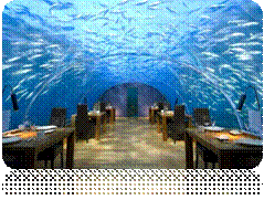 CONRAD_MALDIVES_RANGALI_ISLAND152.jpg