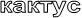 кактус
