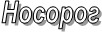 Носорог