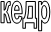 кедр