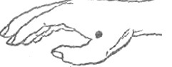 http://*****/2009/14/3.2.jpg