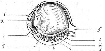 pict2.jpg