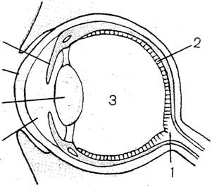 pict1.jpg