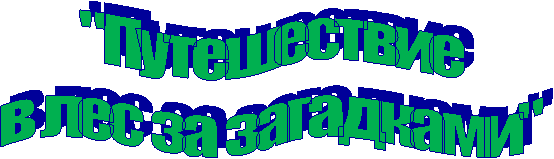 "Путешествие
в лес за загадками"