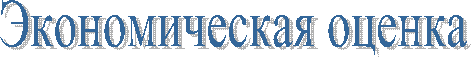 Экономическая оценка